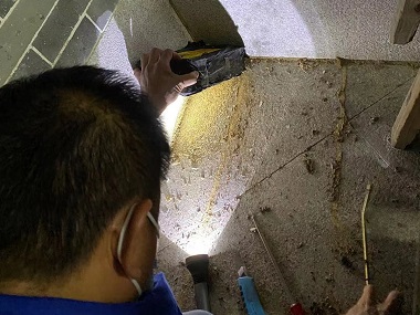 炭步白蚁防治机构为什么居住的房屋里会有白蚁